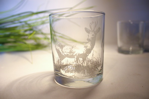 Image principale de Verres à Whiskey Animaux