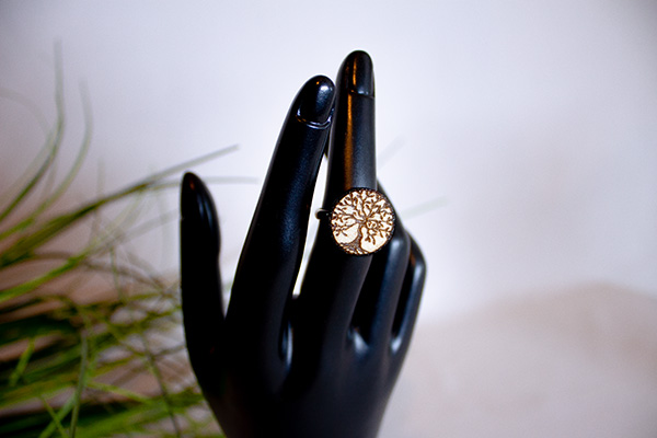 Image principale de Bague arbre