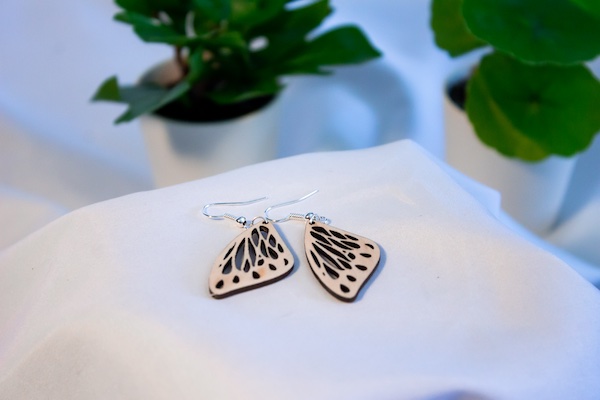 Image principale de Ailes de papillon