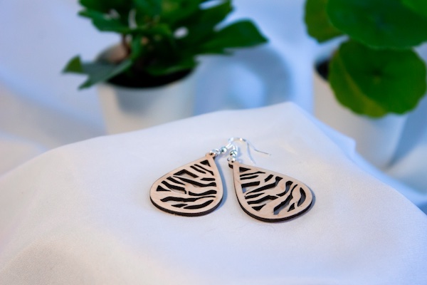 Image principale de Motif zèbre