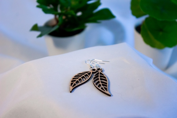 Image principale de Feuilles de pêcher