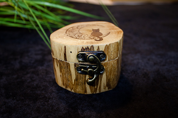 Deuxième image pour Boite Chat