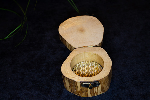 Troisième image pour Boite Chat