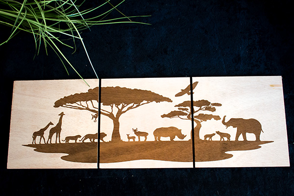 Troisième image pour Triptyque savane