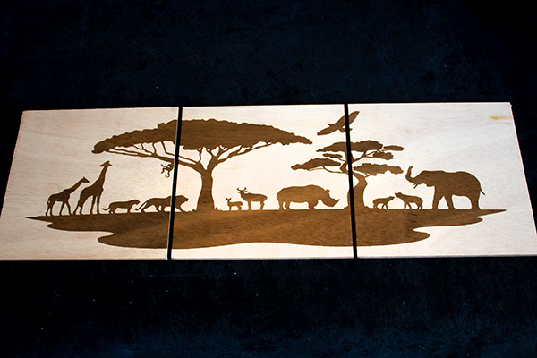 Deuxième image pour Triptyque savane