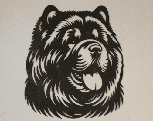 Image principale de Tête de chowchow