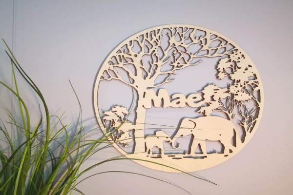 Image principale de Safari personnalisé