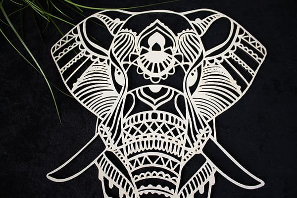 Deuxième image pour Eléphant