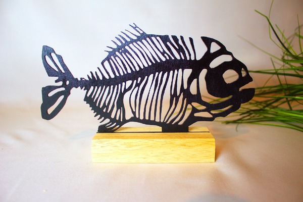 Deuxième image pour Poissons arrêtes