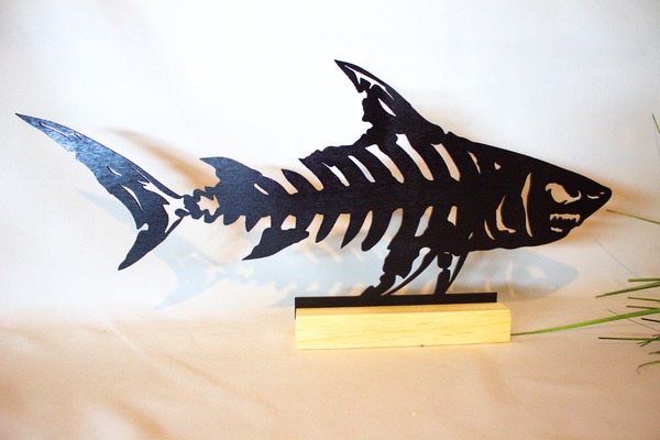 Image principale de Requin